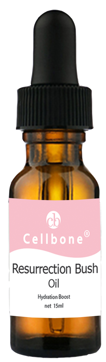 Resurrection Bush Oil